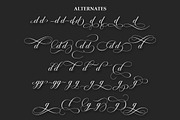 Dealova, a Script Font by HKL Studio (Thumbnail 9 of 11)