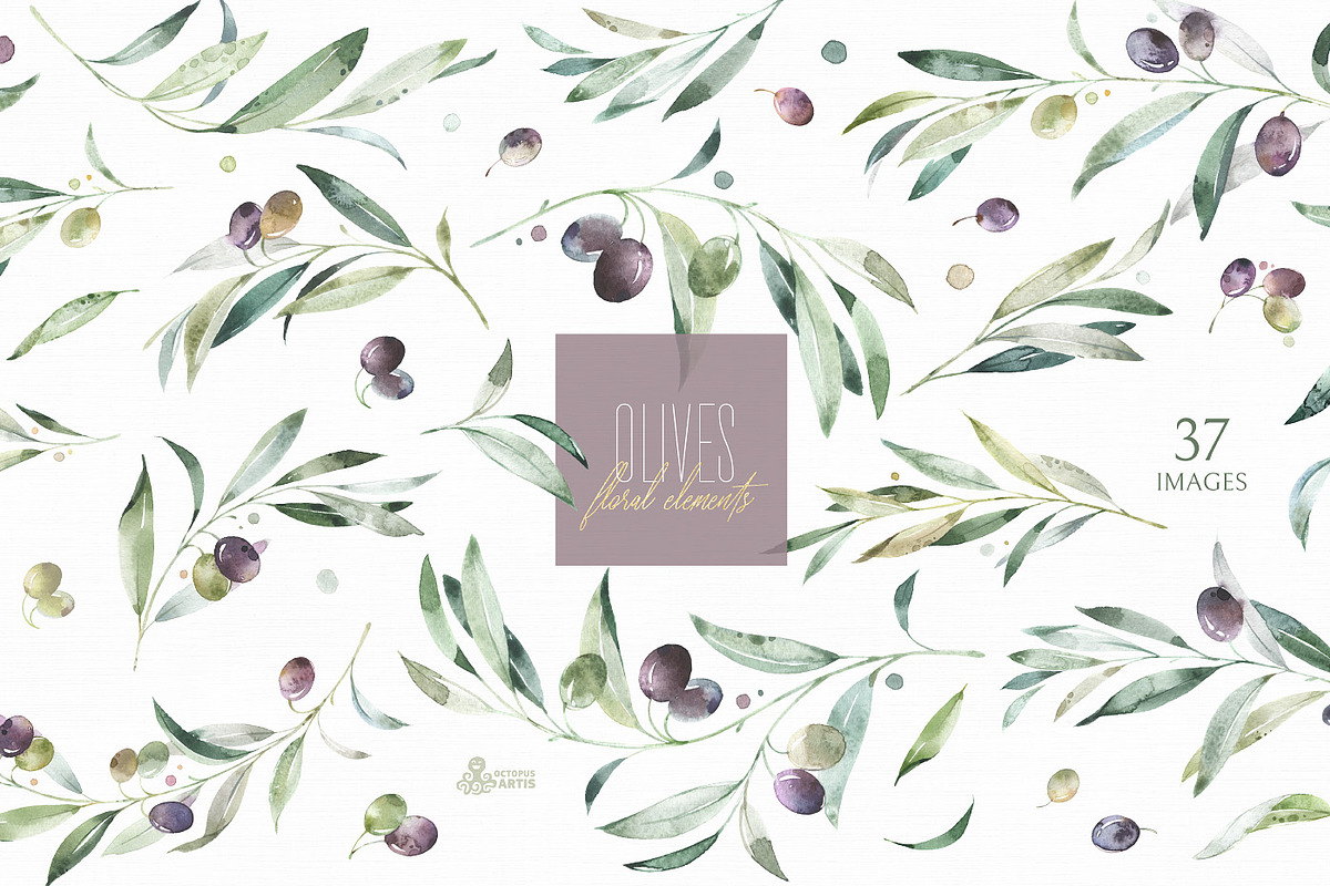 Olives. Watercolor Collection, a Decorative Illustration by OctopusArtis (Photo 14 of 17)