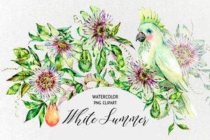 Watercolor white summer
