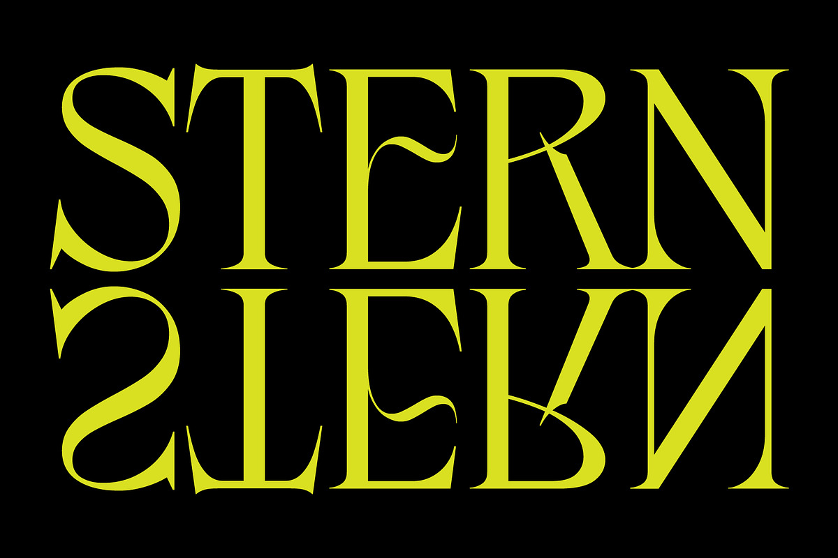 Belma, a Serif Font by Adam Fathony (Photo 5 of 14)