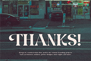 Rytega - Luxury Retro Font, a Serif Font by Iqsiart Studio (Thumbnail 15 of 15)