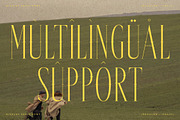 Galderon A Display Serif Font, a Serif Font by Storytype Studio (Thumbnail 12 of 15)