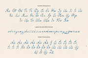 Simple Elegance Script, a Handwritten Font by DesignThatMatters (Thumbnail 14 of 15)