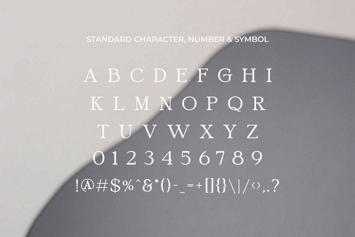 North Boutique, a Serif Font by epicatype (Photo 7 of 7)
