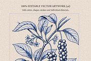 30 Medicinal Herbs & Plants, a Decorative Illustration by Gonez Studio (Thumbnail 13 of 19)