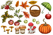 Autumn. New season Illustration Pack, an Object Graphic by Schumacher Shop (Thumbnail 2 of 9)
