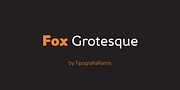 Fox Grotesque, a Sans Serif Font by TipografiaRamis (Thumbnail 1 of 9)