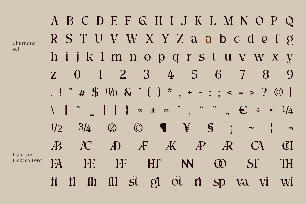 Picktea – Elegant Luxury Serif, a Serif Font by roomspace creative lab (Photo 10 of 12)