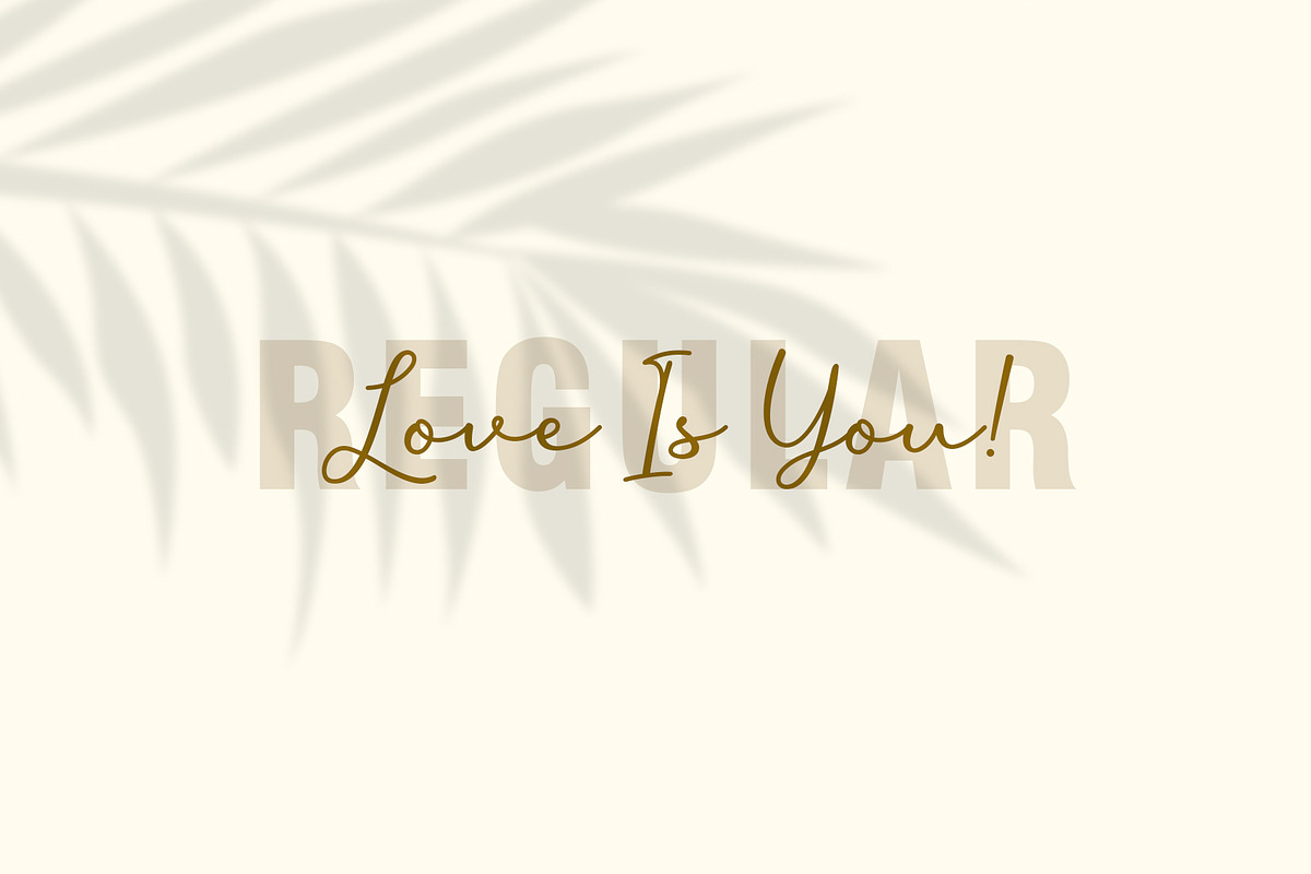 Liontin, a Script Font by Fargun Studio (Photo 12 of 16)