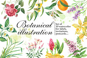 Botanical watercolor illustrations, an Illustration by Marina.Markizova (Thumbnail 1 of 5)
