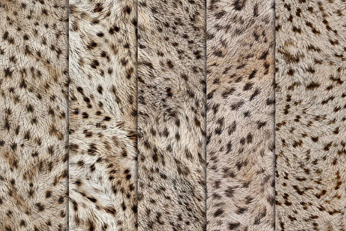 Realistic Cheetah Fur Texture, a Pattern Graphic by Artonix (Photo 2 of 4)