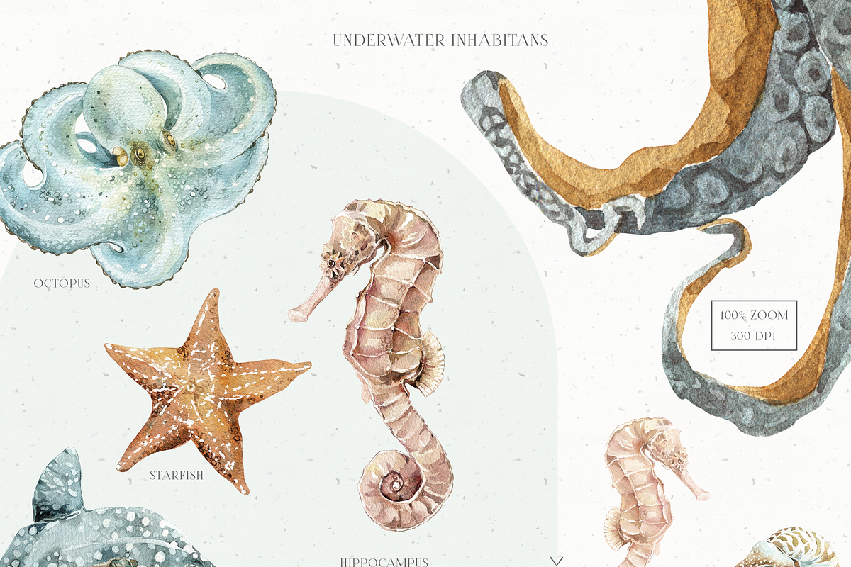Underwater Watercolor Collection, an Animal Illustration by Cat In Colour (Photo 3 of 9)