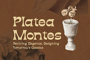 Diazy - Modern Vintage Font, a Serif Font by Salamahtype (Thumbnail 3 of 7)