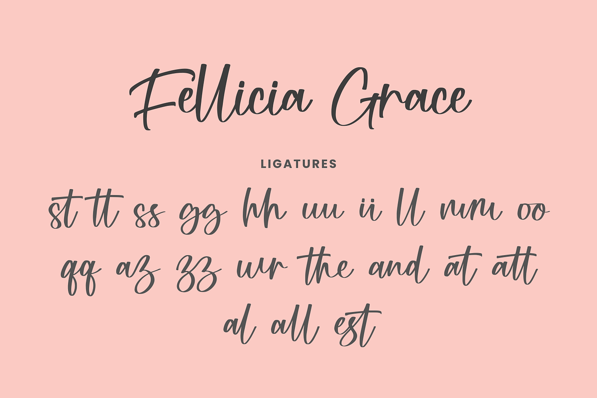 Fellicia Grace, a Handwritten Font by CreateBigSupply (Photo 5 of 9)