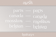 arasik _ modern serif ligatures, a Serif Font by Penatic Studio (Thumbnail 6 of 10)