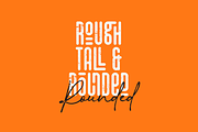 This That Appeal Font Collection, a Sans Serif Font by VP Fonts (Thumbnail 17 of 19)