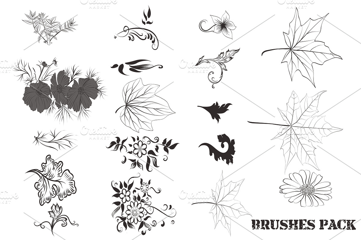 Pack of floral brushes preview 5
