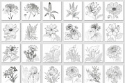 100 Beautiful Flower Coloring Pages, a Decorative Illustration by Blue Digital Studio (Thumbnail 4 of 7)