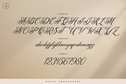 Katarina Delvor | Modern Calligraphy, a Script Font by gracetype_studio (Thumbnail 13 of 15)