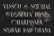 Aessthetique, a Serif Font by Foxys Type (Thumbnail 4 of 11)