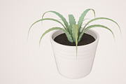 Plant n°1, an Object 3D Model by 3D Furnishing (Thumbnail 4 of 20)