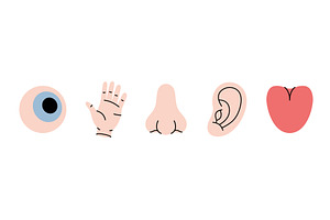 Five human senses. Vision, smell, an Object Illustration by GraphiShop