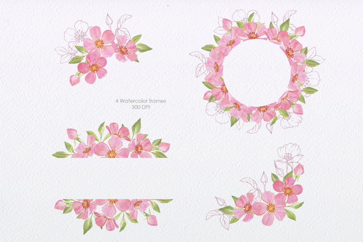 Wild Rose collection, an Illustration by oKOLOstyle (Photo 7 of 8)