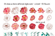 30% OFF - Peonies and succulents., a Decorative Illustration by Funny-sunny (Thumbnail 3 of 12)