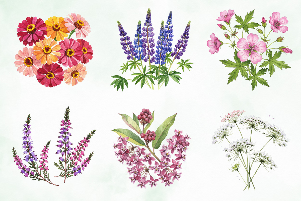 Wild Flowers, Butterflies and Dragon, an Illustration by Creative Art (Photo 6 of 9)