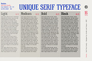 Raiden - Serif font family, a Serif Font by Artistic & Unique (Thumbnail 13 of 13)
