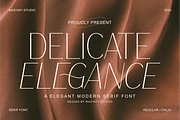 Delicate Elegance - Elegant Serif, a Serif Font by Masyafi Studio (Thumbnail 1 of 9)