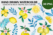 Watercolor Amalfi Lemon Clipart PNG, a Food Illustration by PatternPalette (Thumbnail 2 of 3)