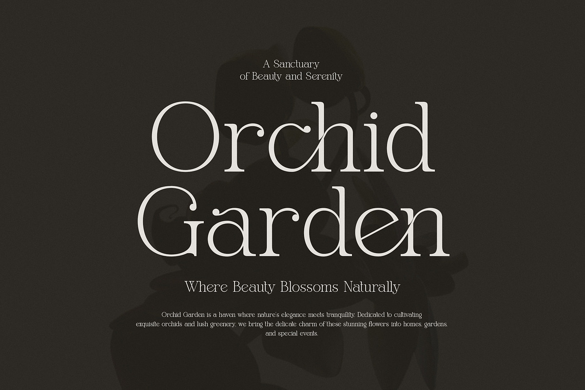 Gafien Elegant Modern Serif Font, a Serif Font by Graphicxell (Photo 3 of 8)