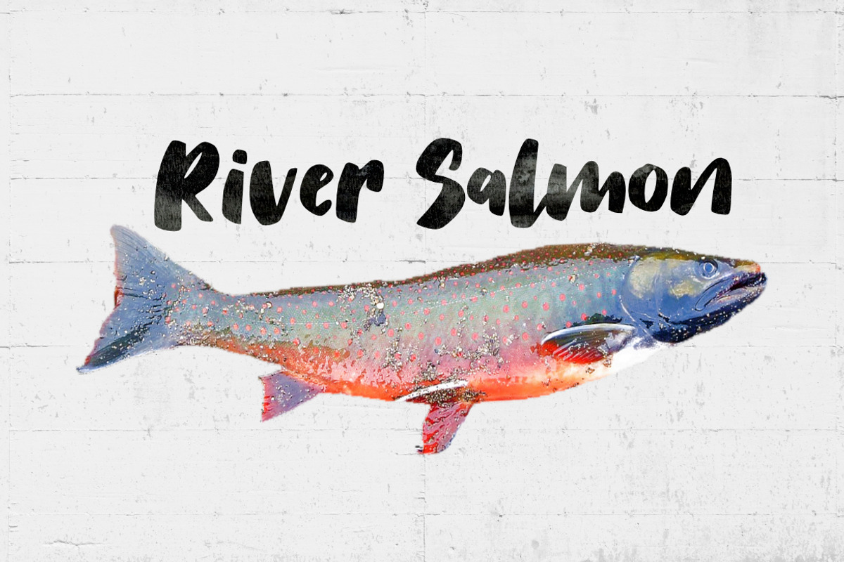 Salmon Brush Font preview 3