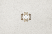 Minimalist Abstract Hexagon Logo, a Branding & Logo Template by Luxury Logos (Thumbnail 4 of 4)