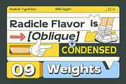 Radicle - Font Family, a Sans Serif Font by Graptail (Thumbnail 2 of 10)