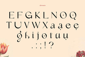 Lilyane - A Lovely Font