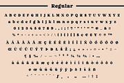 Fox Rustic: 7 Font Styles, a Serif Font by Fox7 By Rattana (Thumbnail 11 of 18)