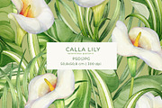 Calla Lily Seamless Pattern, a Pattern Graphic by PicByKate (Thumbnail 1 of 13)