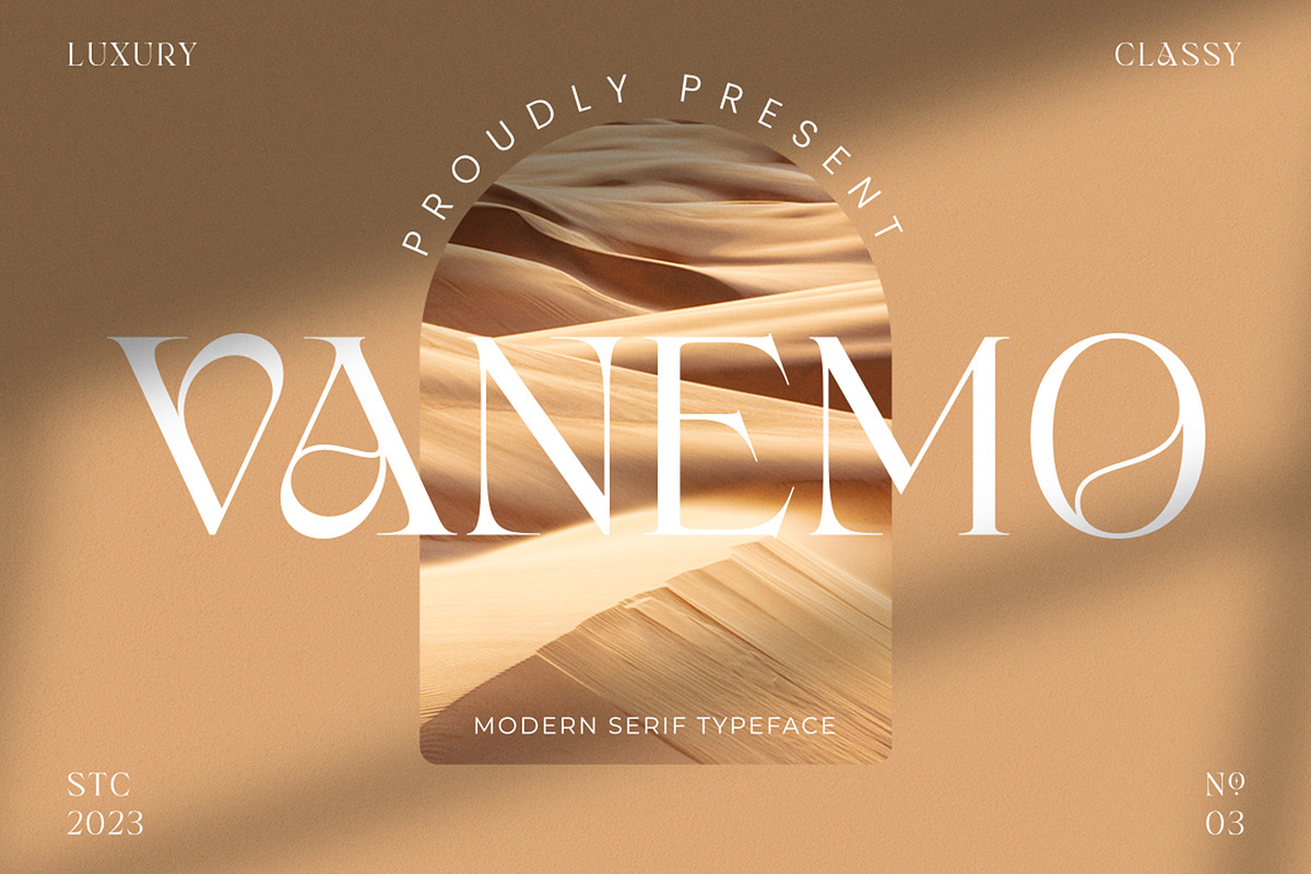 Vanemo Modern Serif Typeface, a Font by Shiningtown Creative (Photo 1 of 15)