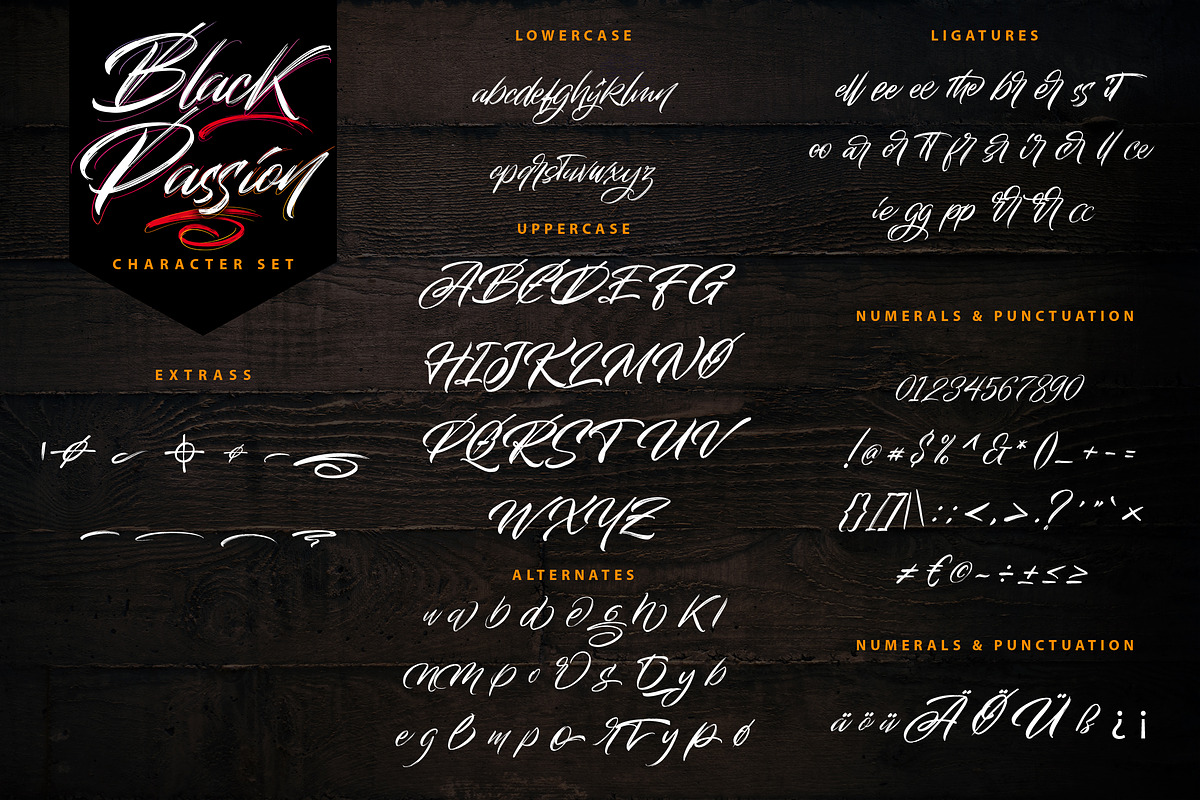 Black Passion – Brush Script Font, a Script Font by Typefactoryco (Photo 2 of 8)