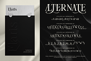 Sunnydew, a Serif Font by Burntilldead (Thumbnail 8 of 11)