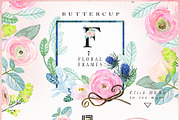 -50% Off Buttercups. Ranunculus pink, an Illustration by LABFcreations (Thumbnail 3 of 12)