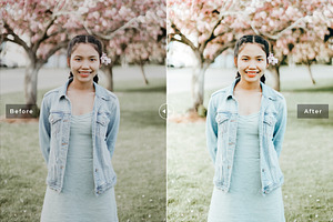 Milkweed Pro Lightroom Presets