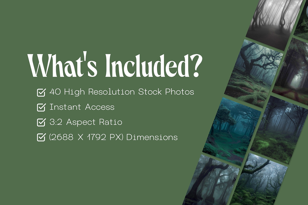 40 Eerie Forest Stock Photos, a Nature Photo by Incomelion (Photo 7 of 13)