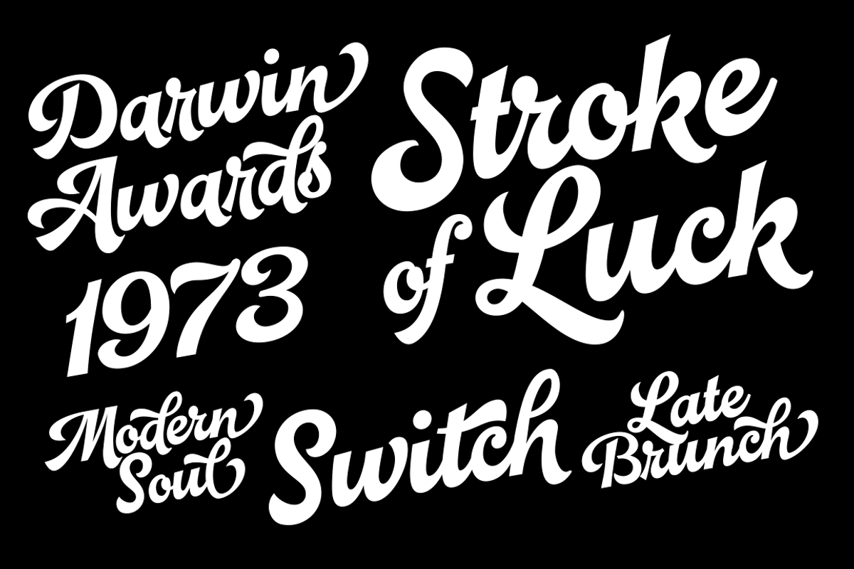 Pitcher - baseball script, a Script Font by Fenotype (Photo 12 of 12)