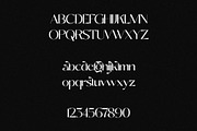 Goldfish - Elegant & Chic Sans Serif, a Sans Serif Font by subkulturetype (Thumbnail 7 of 8)
