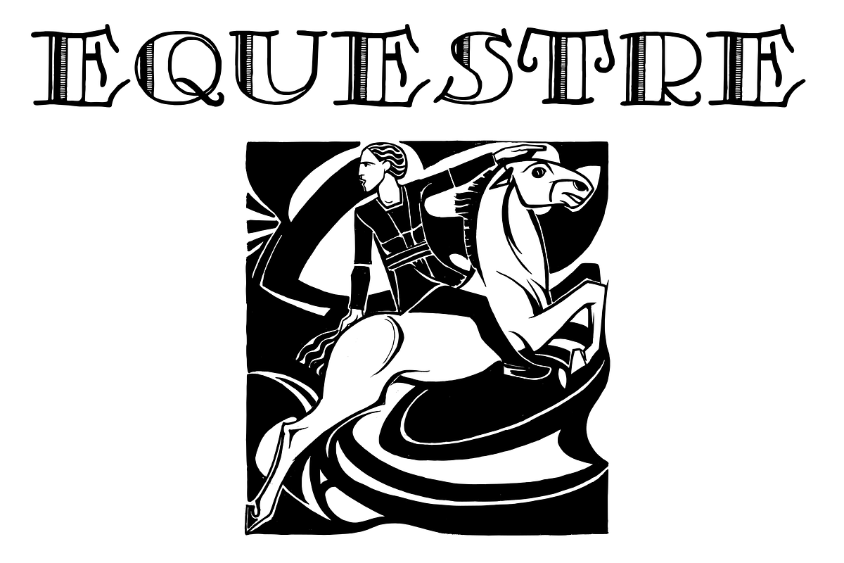 Is Not a Brazilian, a Serif Font by Intellecta Design (Photo 3 of 5)