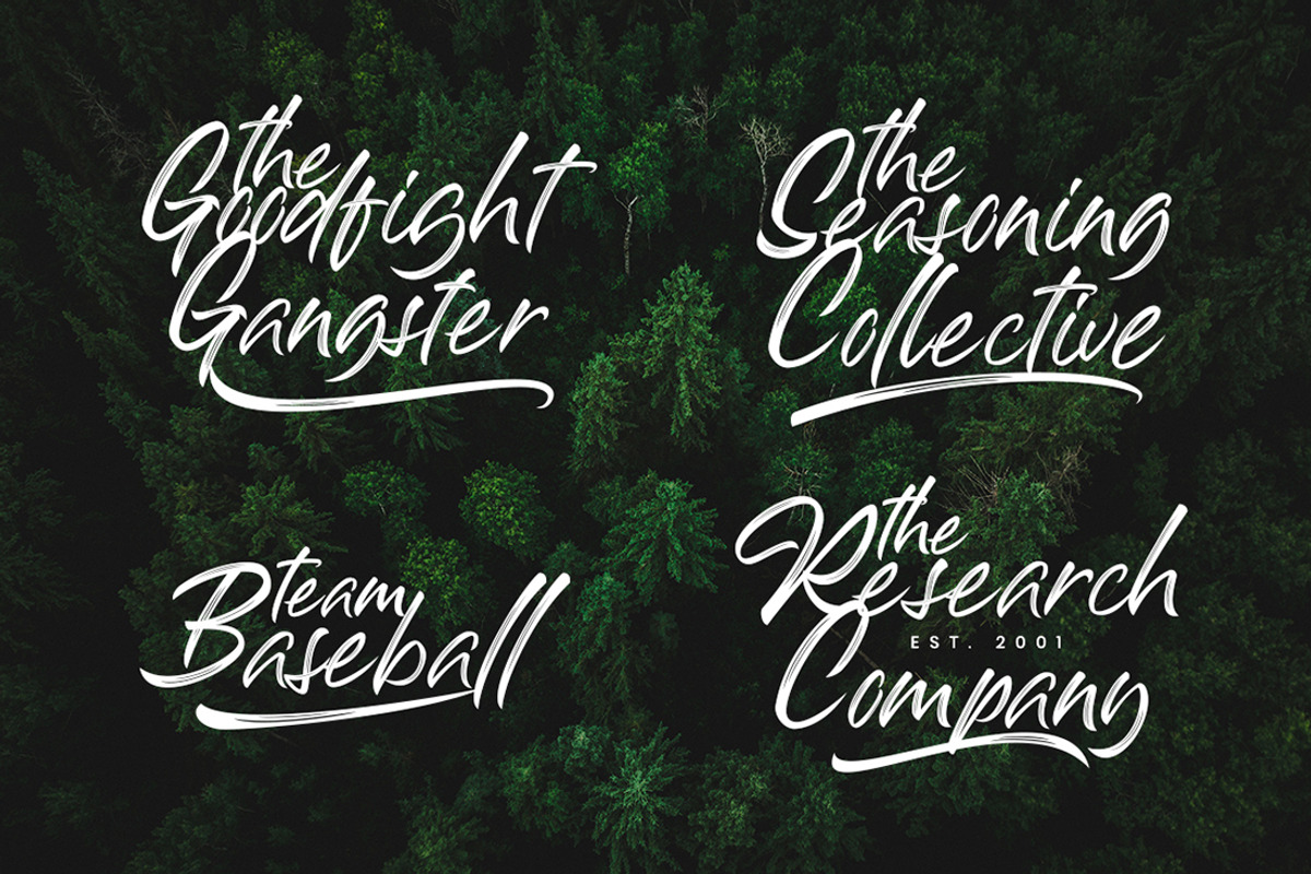 Aksana Brush Business Font preview 3