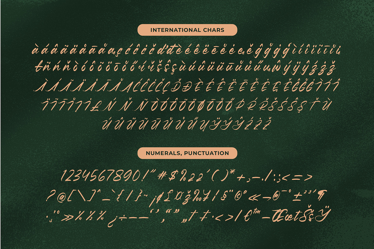 Pluretta Vintage Modern Brush Font, a Serif Font by Letterena Studios Script (Photo 19 of 20)